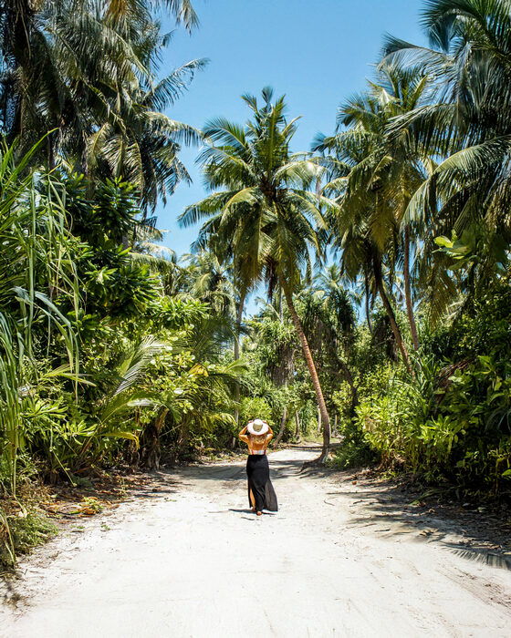 Samy auf einem Palmenweg auf Dhigurah